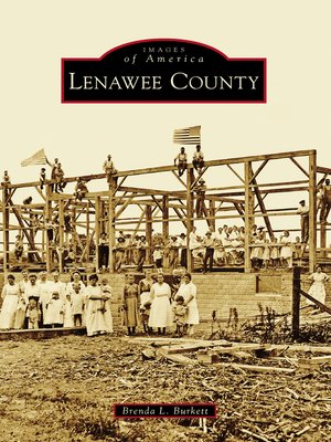 cover image of Lenawee County
